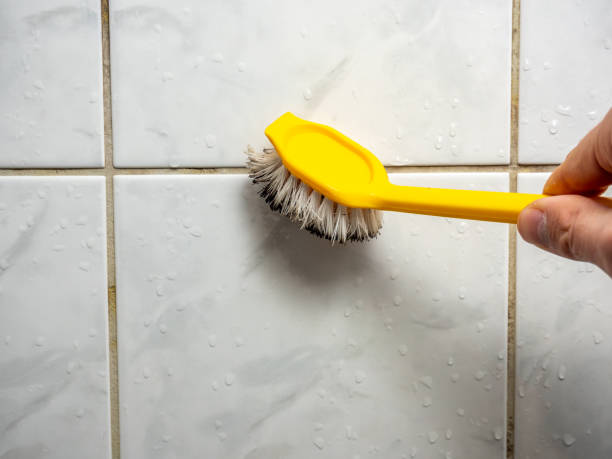 Best Black Mold Removal  in Perry, IA