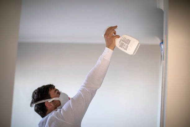 Certified Mold Removal in Perry, IA